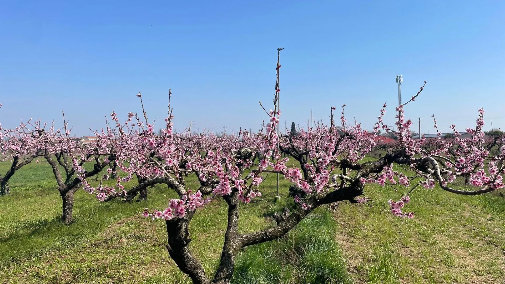 Agriturismo Corte Vecia Alloggio Della Corte Verona