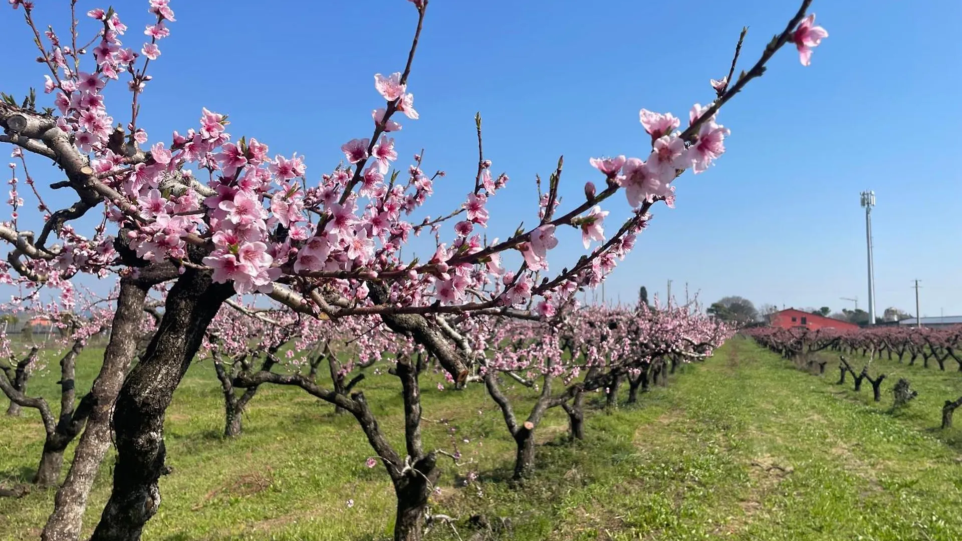 Farm stay Agriturismo Corte Vecia Alloggio Della Corte Verona
